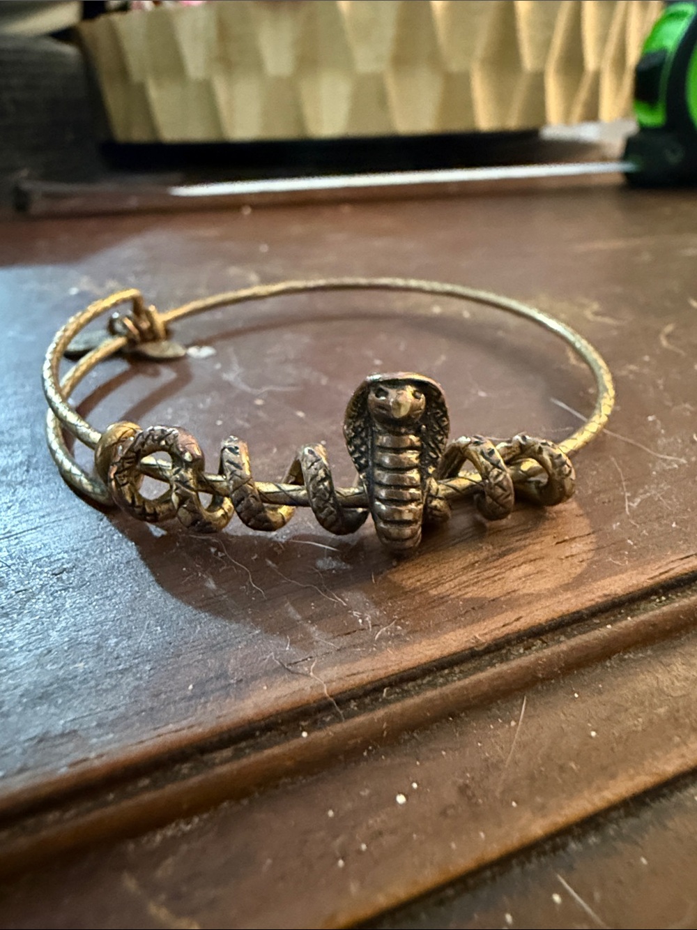 Alex and Ani Gold Coiled Snake Bangle Bracelet